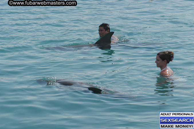 Local Billing Dolphin Encounter and Swim 2005