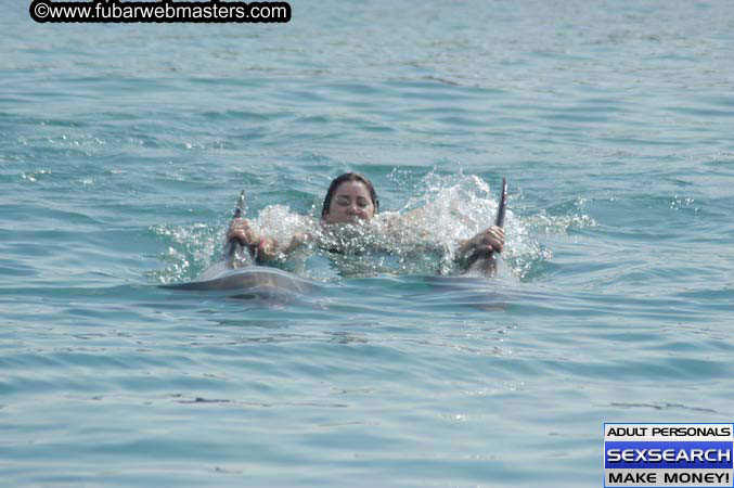 Local Billing Dolphin Encounter and Swim 2005