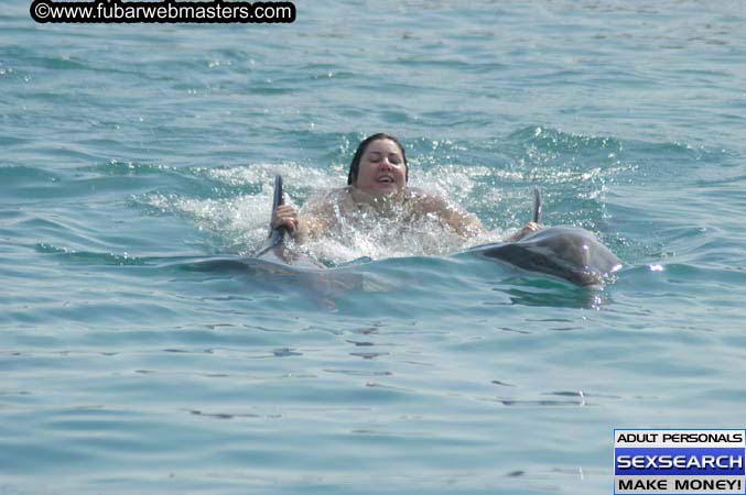 Local Billing Dolphin Encounter and Swim 2005