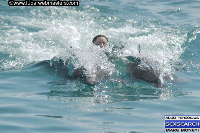 Local Billing Dolphin Encounter and Swim 2005