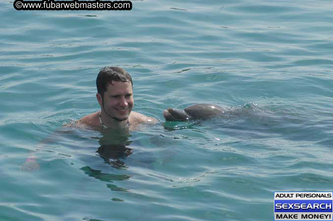 Local Billing Dolphin Encounter and Swim 2005