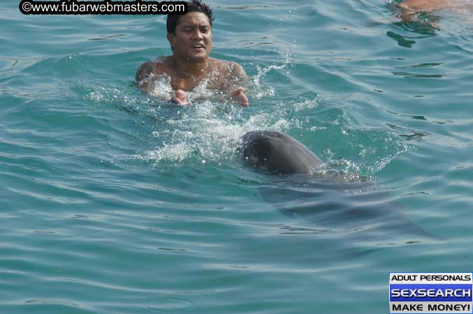 Local Billing Dolphin Encounter and Swim 2005