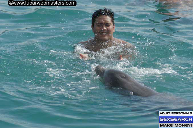 Local Billing Dolphin Encounter and Swim 2005