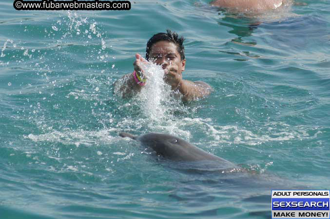 Local Billing Dolphin Encounter and Swim 2005