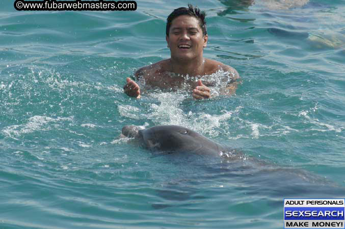 Local Billing Dolphin Encounter and Swim 2005