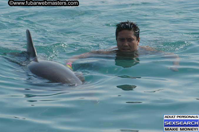 Local Billing Dolphin Encounter and Swim 2005