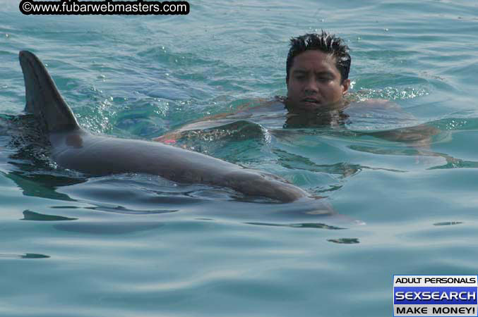 Local Billing Dolphin Encounter and Swim 2005