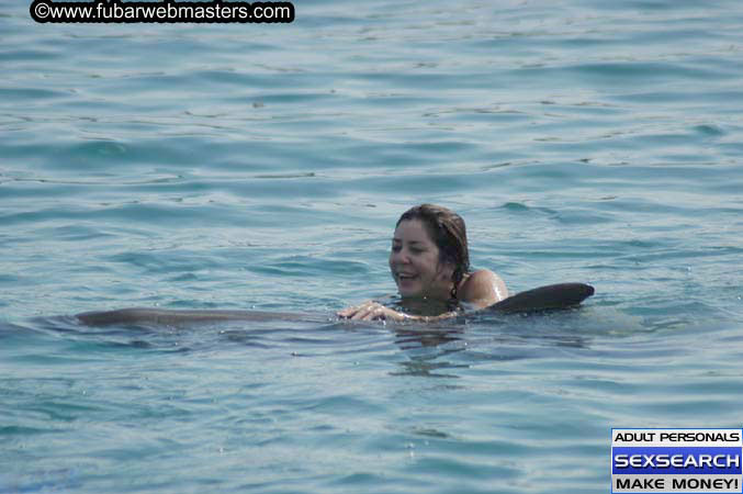 Local Billing Dolphin Encounter and Swim 2005