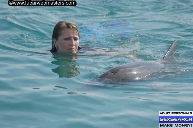 Local Billing Dolphin Encounter and Swim 2005