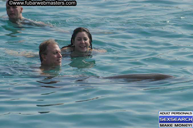 Local Billing Dolphin Encounter and Swim 2005