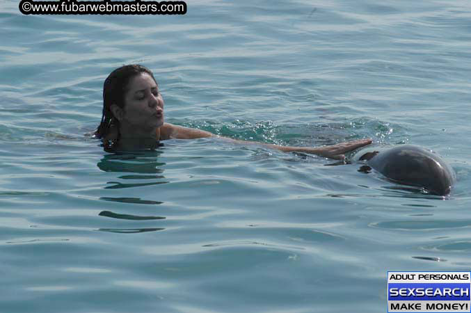 Local Billing Dolphin Encounter and Swim 2005