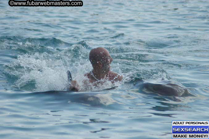 Local Billing Dolphin Encounter and Swim 2005