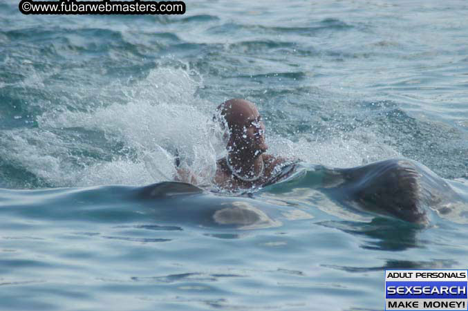 Local Billing Dolphin Encounter and Swim 2005