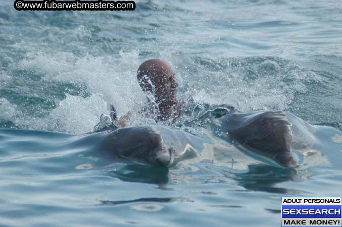 Local Billing Dolphin Encounter and Swim 2005