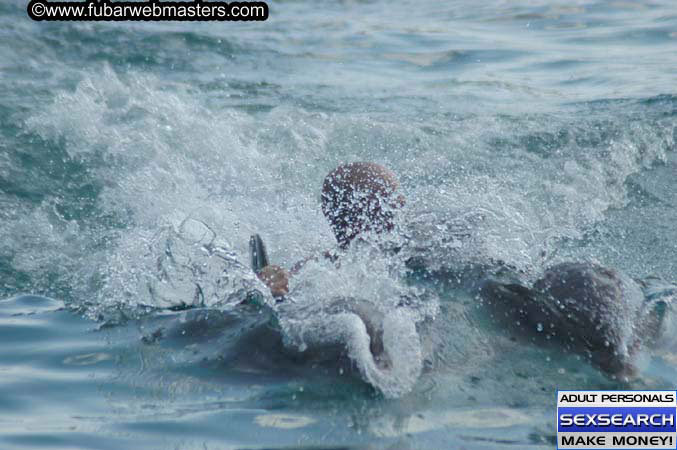 Local Billing Dolphin Encounter and Swim 2005