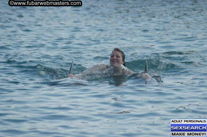 Local Billing Dolphin Encounter and Swim 2005