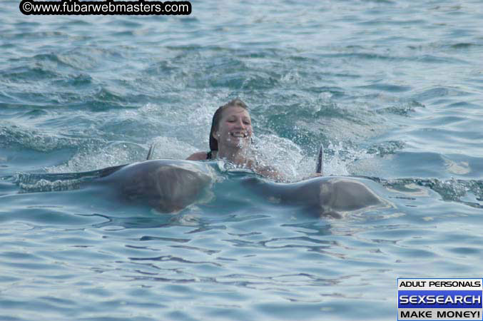 Local Billing Dolphin Encounter and Swim 2005