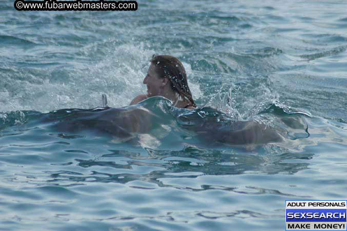 Local Billing Dolphin Encounter and Swim 2005