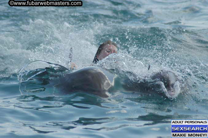 Local Billing Dolphin Encounter and Swim 2005