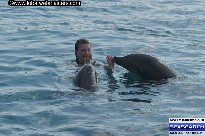 Local Billing Dolphin Encounter and Swim 2005