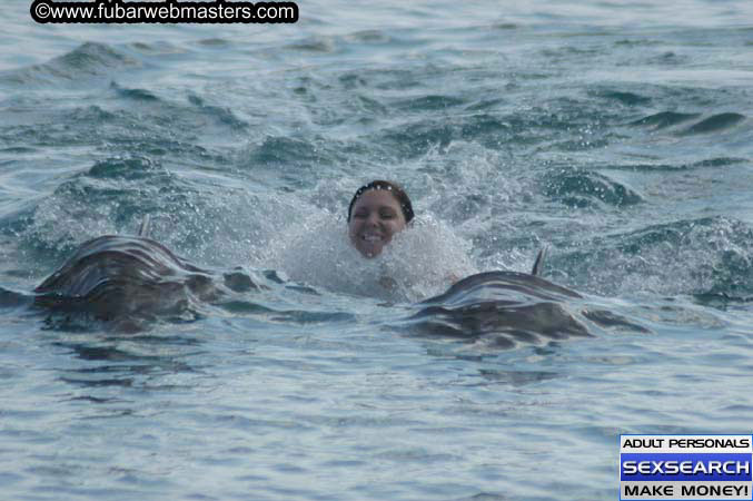 Local Billing Dolphin Encounter and Swim 2005