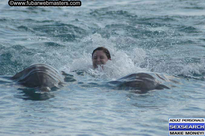 Local Billing Dolphin Encounter and Swim 2005