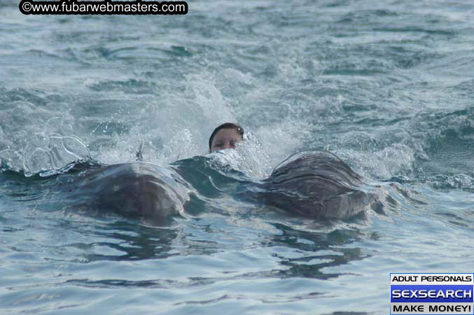 Local Billing Dolphin Encounter and Swim 2005