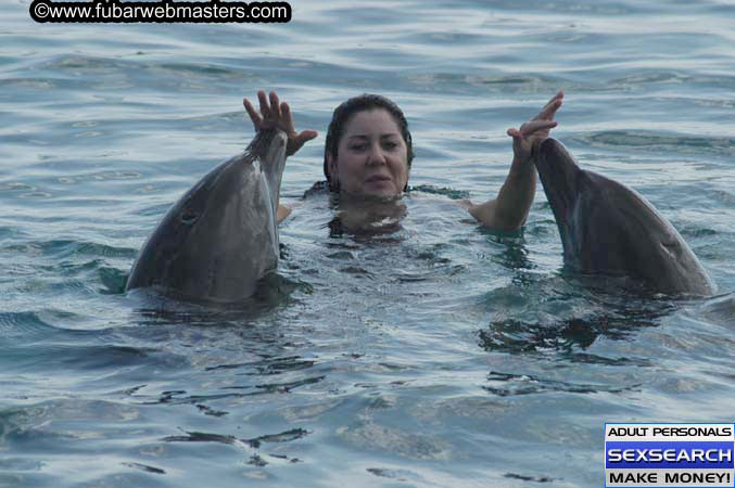 Local Billing Dolphin Encounter and Swim 2005