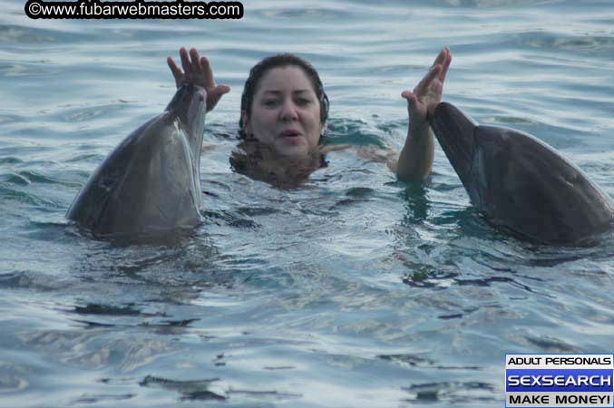 Local Billing Dolphin Encounter and Swim 2005