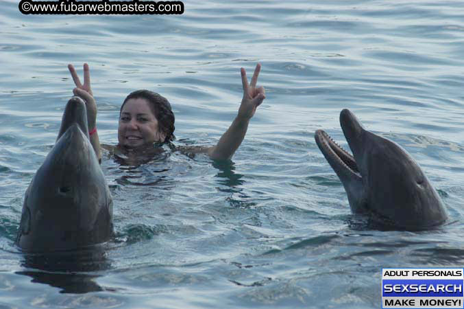 Local Billing Dolphin Encounter and Swim 2005