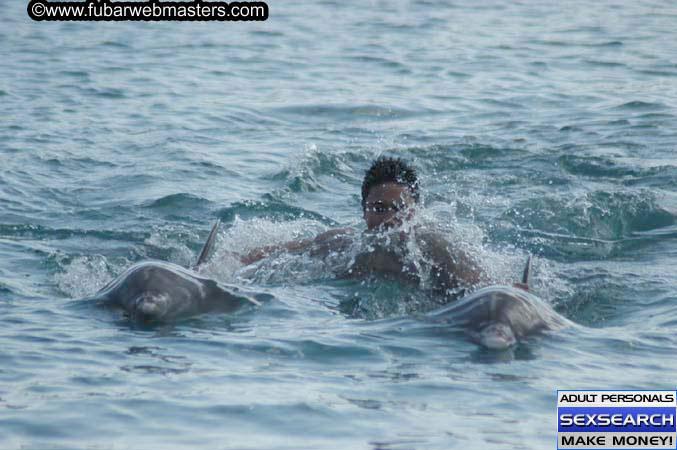 Local Billing Dolphin Encounter and Swim 2005