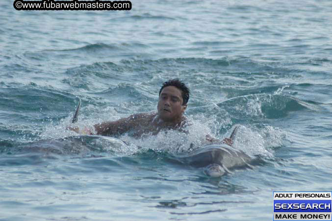 Local Billing Dolphin Encounter and Swim 2005