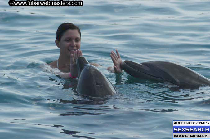 Local Billing Dolphin Encounter and Swim 2005