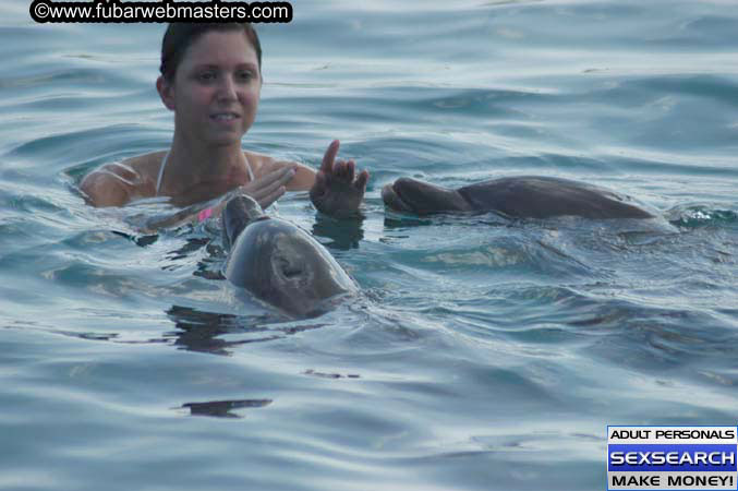 Local Billing Dolphin Encounter and Swim 2005