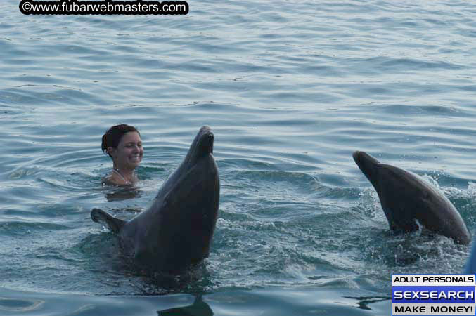 Local Billing Dolphin Encounter and Swim 2005