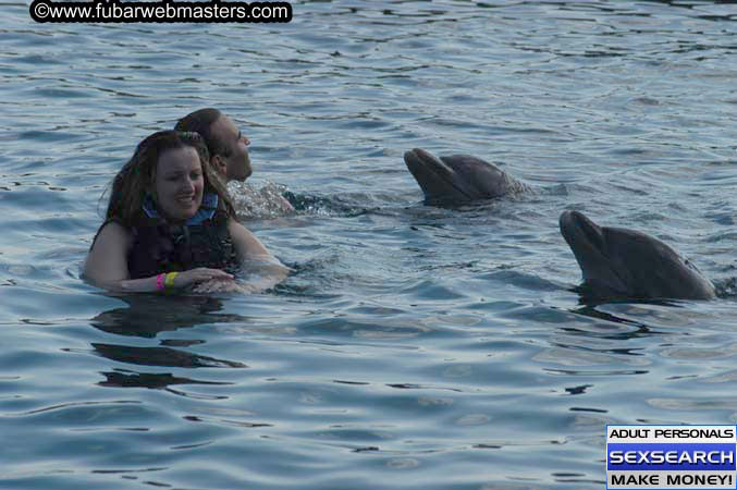 Local Billing Dolphin Encounter and Swim 2005