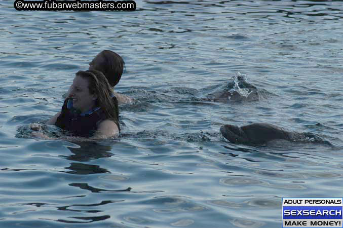 Local Billing Dolphin Encounter and Swim 2005