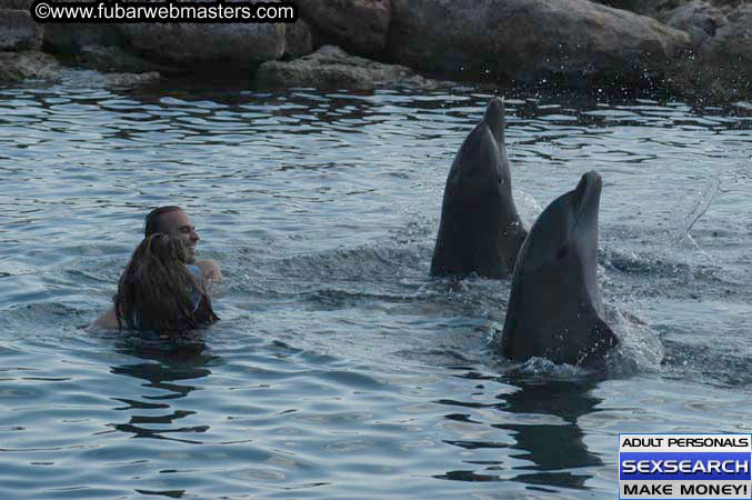 Local Billing Dolphin Encounter and Swim 2005