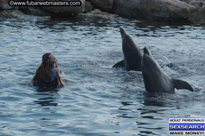 Local Billing Dolphin Encounter and Swim 2005