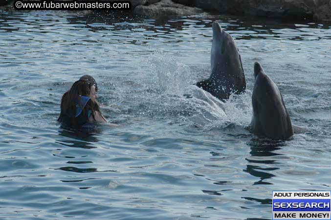 Local Billing Dolphin Encounter and Swim 2005