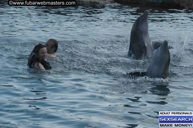 Local Billing Dolphin Encounter and Swim 2005