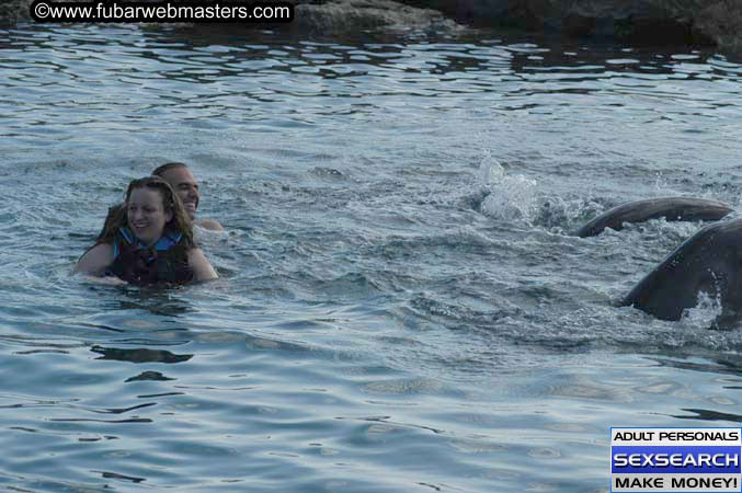 Local Billing Dolphin Encounter and Swim 2005