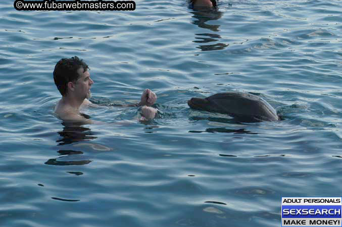 Local Billing Dolphin Encounter and Swim 2005