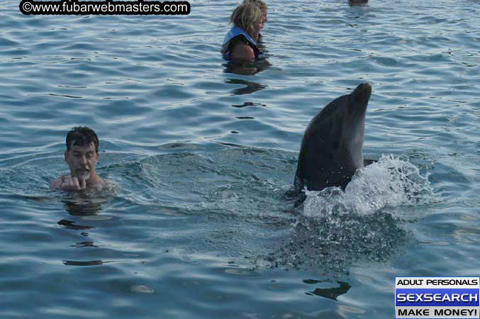 Local Billing Dolphin Encounter and Swim 2005