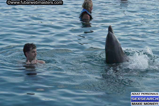 Local Billing Dolphin Encounter and Swim 2005