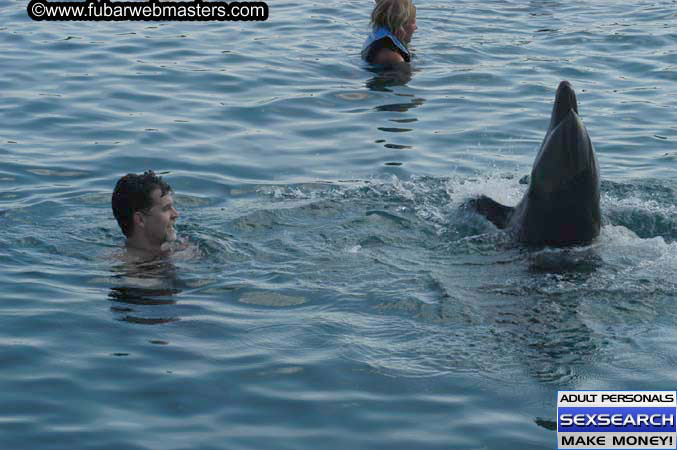 Local Billing Dolphin Encounter and Swim 2005