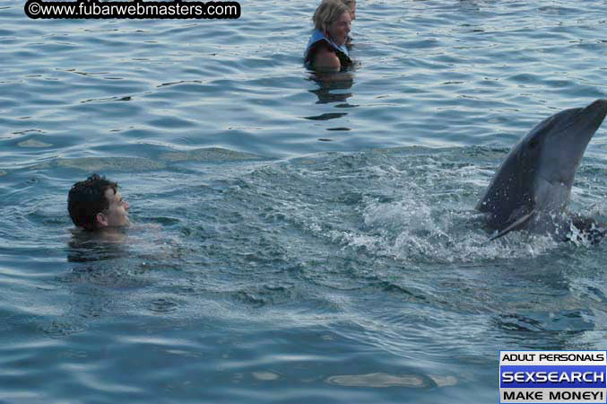 Local Billing Dolphin Encounter and Swim 2005