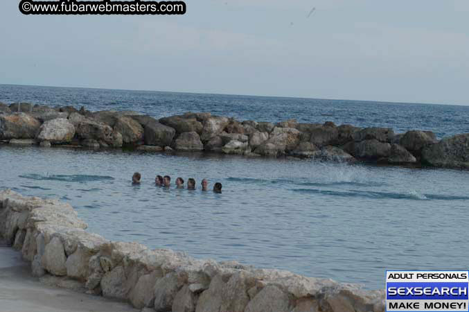 Local Billing Dolphin Encounter and Swim 2005