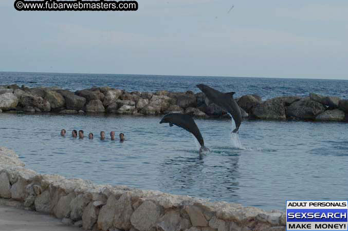 Local Billing Dolphin Encounter and Swim 2005