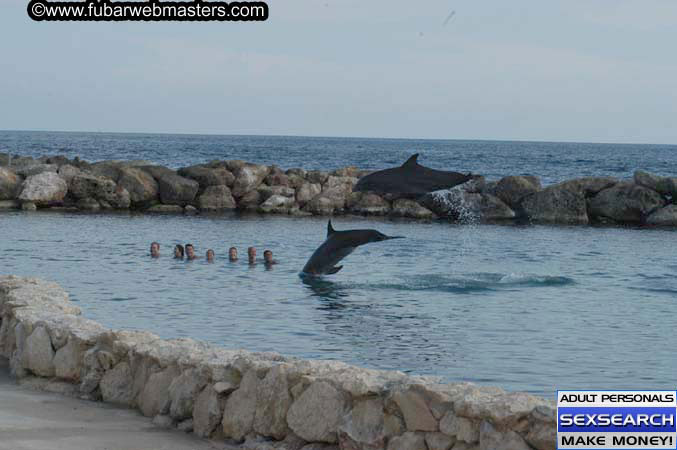 Local Billing Dolphin Encounter and Swim 2005